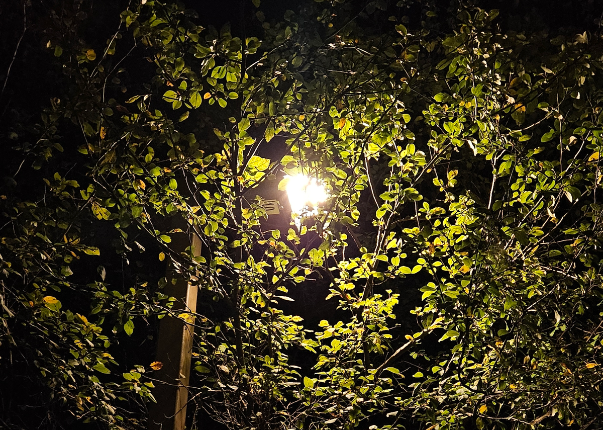 What Turning 30 Taught Me About Harm, Healing, and Queer Accountability